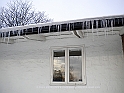Picture 017